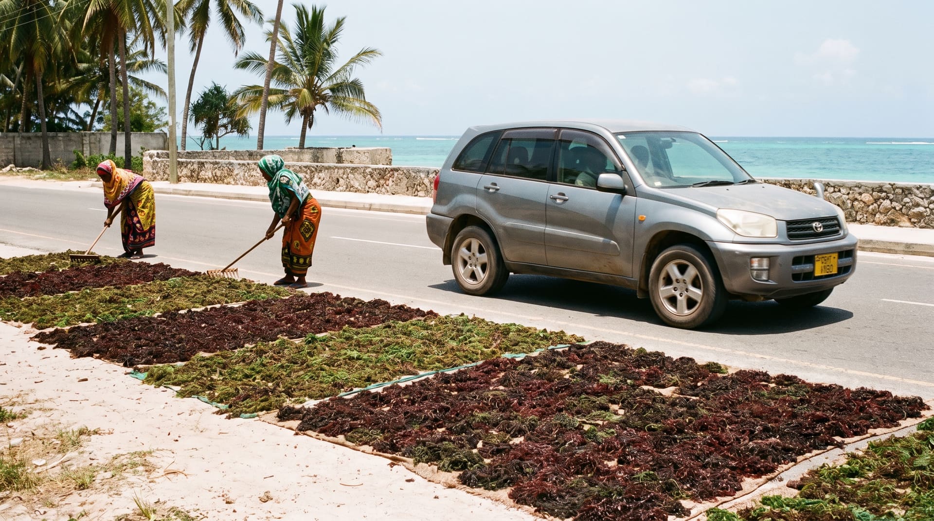 Zanzibar tides: why the sea disappears, and which beach to choose
